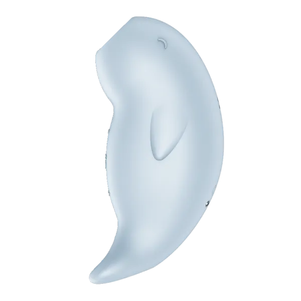Vibrators Satisfyer Satisfyer Seal You Soon Rechargeable Double Air Pulse Vibrator