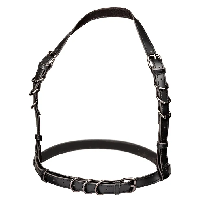 Plus Size CalExotics Euphoria Collection Plus Size Halter Buckle Harness Black Plus Size CalExotics Euphoria Collection Plus Size Halter Buckle Harness Black