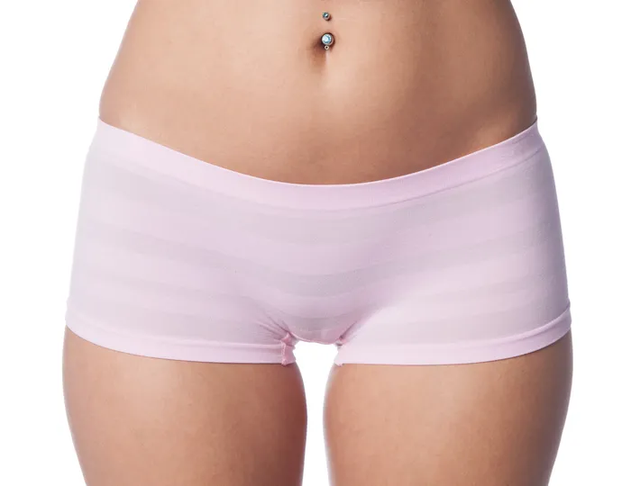 Vibrators Sunset Intimates Seamless Sheer Hipster Boy Shorts in Pink