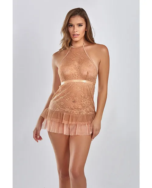 Couples Icollection Lingerie Amber Halter Lace Babydoll wTiered Pleated Mesh Skirt Hem GString Brown SM Couples Icollection Lingerie Amber Halter Lace Babydoll wTiered Pleated Mesh Skirt Hem GString Brown SM
