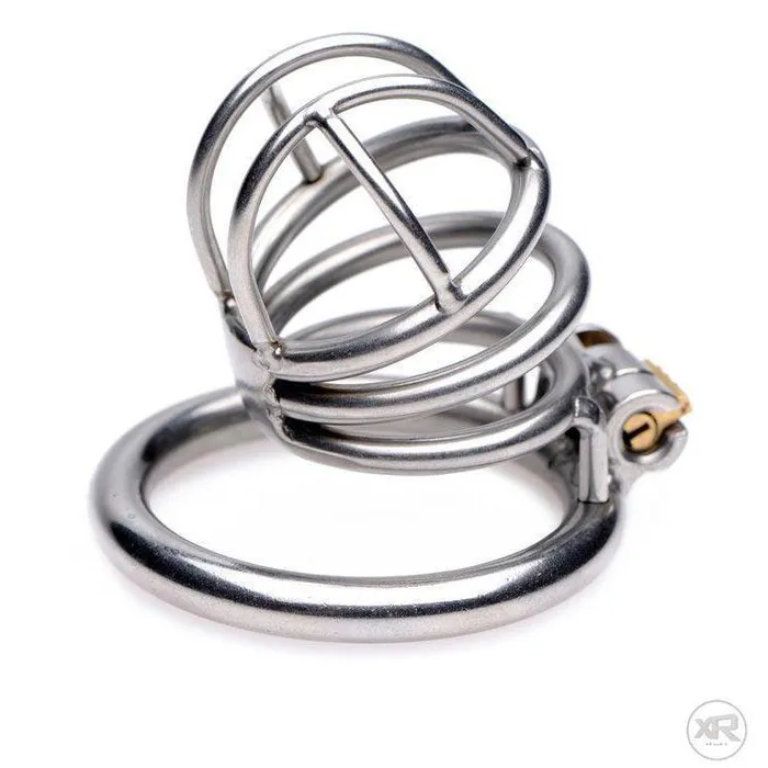 The Pen Deluxe Stainless Steel Locking Chastity Cage Master Series Male Sex Toys The Pen Deluxe Stainless Steel Locking Chastity Cage Master Series Male Sex Toys