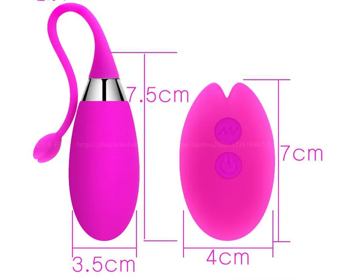 Wild Night Fantasies Couples Deluxe Remote Controlled Egg Vibrator