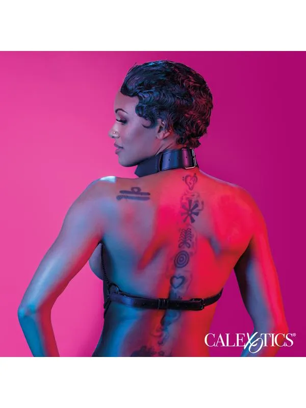 CalExotics Vibrators Euphoria Collection Multi Chain Collar Harness CalExotics Vibrators Euphoria Collection Multi Chain Collar Harness