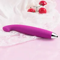 Sara Sara Vibrators
