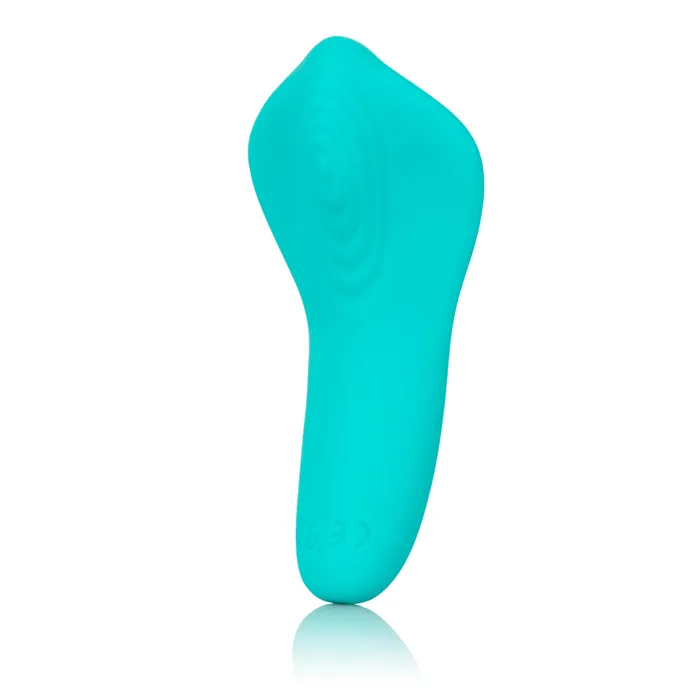 Slay Pleaser CalExotics Vibrators